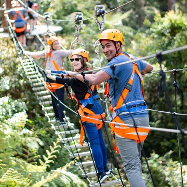 Group on Zipline Tour suspension bridge