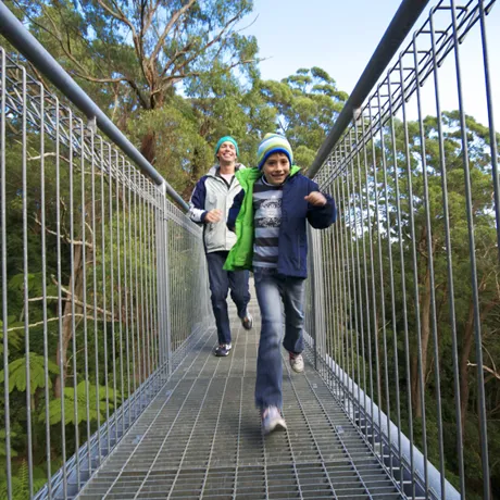 Treetop Walk Winter At IFLY