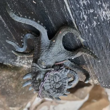 Kraken Portrait