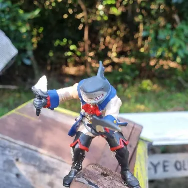 Shark Captain Portrat