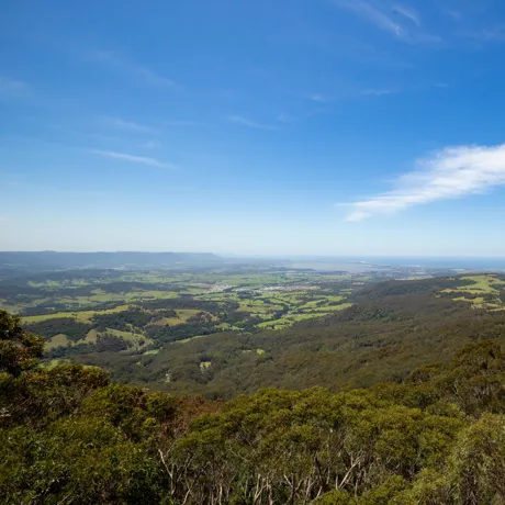 Illawarra